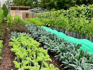 Montréal’s Urban Agriculture Continues to Grow(Science Borealis)