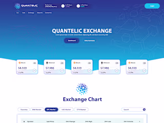 Logo and Website design for Quantelic