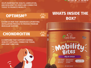 Social Media Marketing  for Care Paws