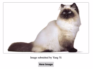 Random Image Generator