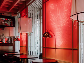 Lobito de Mar Neon Illustrations