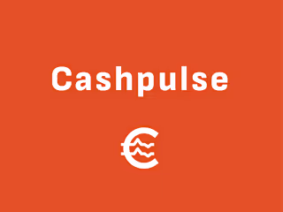 Cashpulse Branding - Sophie Jakeli
