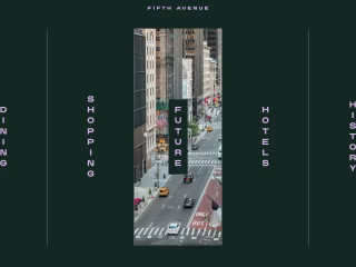5th Avenue | Fifth Avenue 