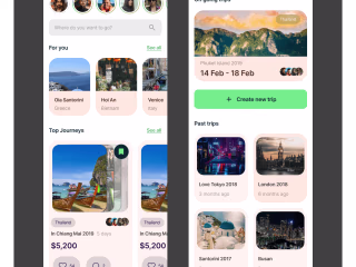 Designing an Intuitive Mobile App for Travel enthusiast
