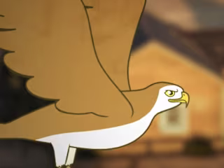 Birds Of A Feather - YouTube