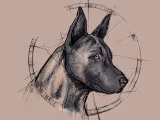 Drawing in traditional & digital way