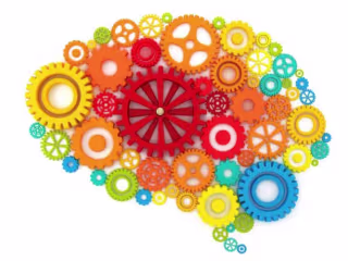 Is Technology Shortening Students’ Attention Spans?