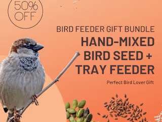 Meta Ads/Reduced Birdwatcher Subscription Box CPA ($100 to $20)