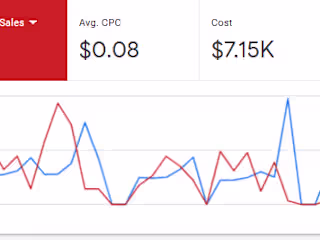 Google Ads Success Story