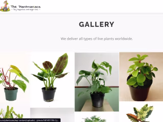 The Plants Maniac