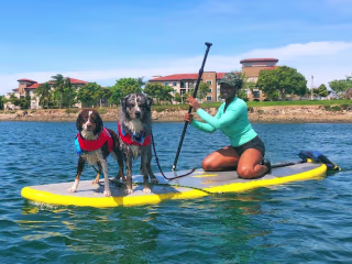 Dog Athletes of the Month: Kahlua & Whiskey Advance