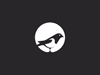 Magpie - Illustration