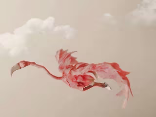 unusual sighting - A stop Motion Short Film - YouTube