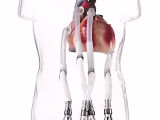 Engaging Blog Post for a Cardiac Device Company