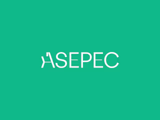 ASEPEC Institutional Visual Identity Design