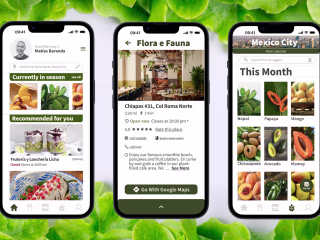 ⚘𖧷 UX / UI Work for Seasons App 𖧷 ⚘