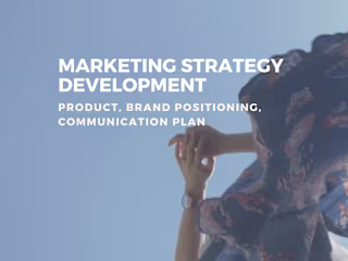 Team lead of a marketing project for fundraising NGO