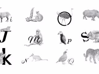 Alphabet Animals