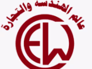 Project Engineer