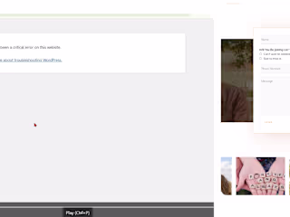 How To Fix There Has Been A Critical Error On This Website