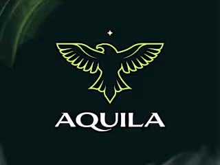 Aquila — logo design