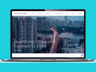 Wordpress Elementor Website-STRATEGYRISKS