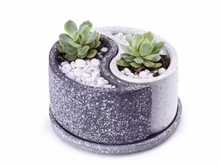Yin Yang design/mold/planter