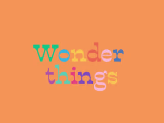 Wonder Things 