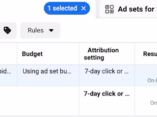 Dog Hotel Campaign: Optimizing Ad Spend and Generating Leads
