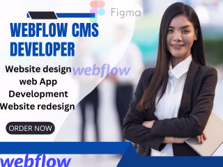 I Will Be Your Expert Webflow CMS Developer for Seamless Website