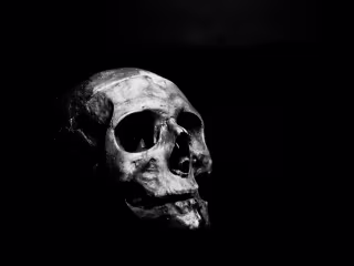 Why Is Horror So Interesting?
