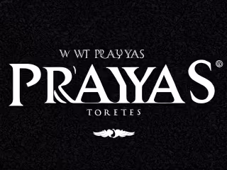 Content Creation Campaign for Prayyas