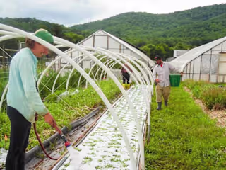 The Farm at Sunnyside is growing healthier
