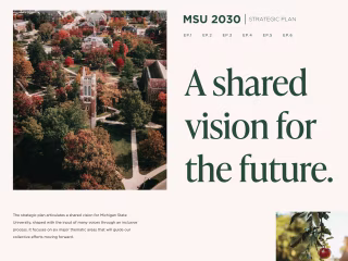 MSU 2030