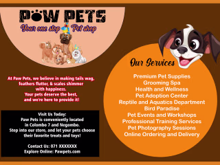 Eye-catching Leaflets & Handbills