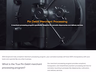 Website Copywriting: Pin Debit Merchant Processing