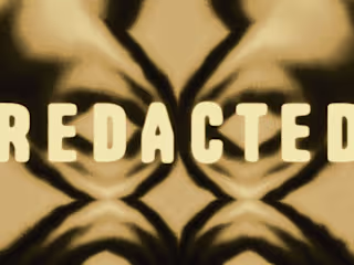 Redacted — Daraobong Ekpo Animation