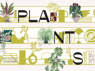How Many Plants - Indoor and House Plant Resource