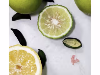 Instagram posts for a ceramic brand