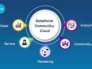 Salesforce Community Portal Automation