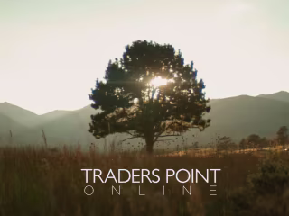 Traders Point Online // Promo