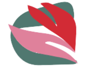 Insurance Expert Hub - Blog
