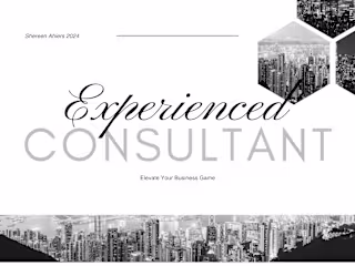 Experienced Consultant