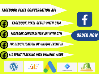 I will implement facebook pixel API for GTM serverside tracking