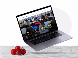 University website