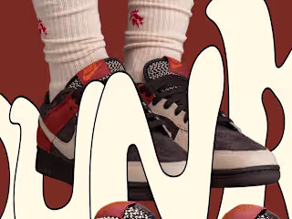 “The Nike Dunk Low “Red Panda”
