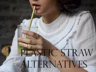 Plastic Straw Alternatives