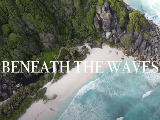 Beneath the Waves - Voiceover Ghostwriting 