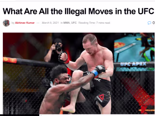 What Are All the Illegal Moves in the UFC - Sportsmanor