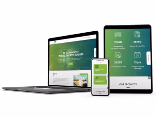 Wordpress Website Development - Orient Allways